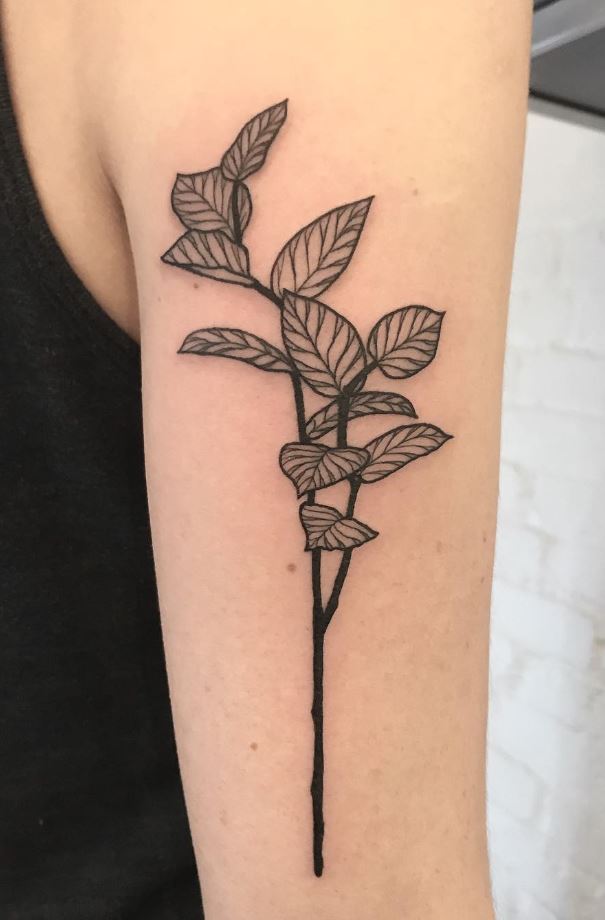 Gaultheria Plants Tattoo