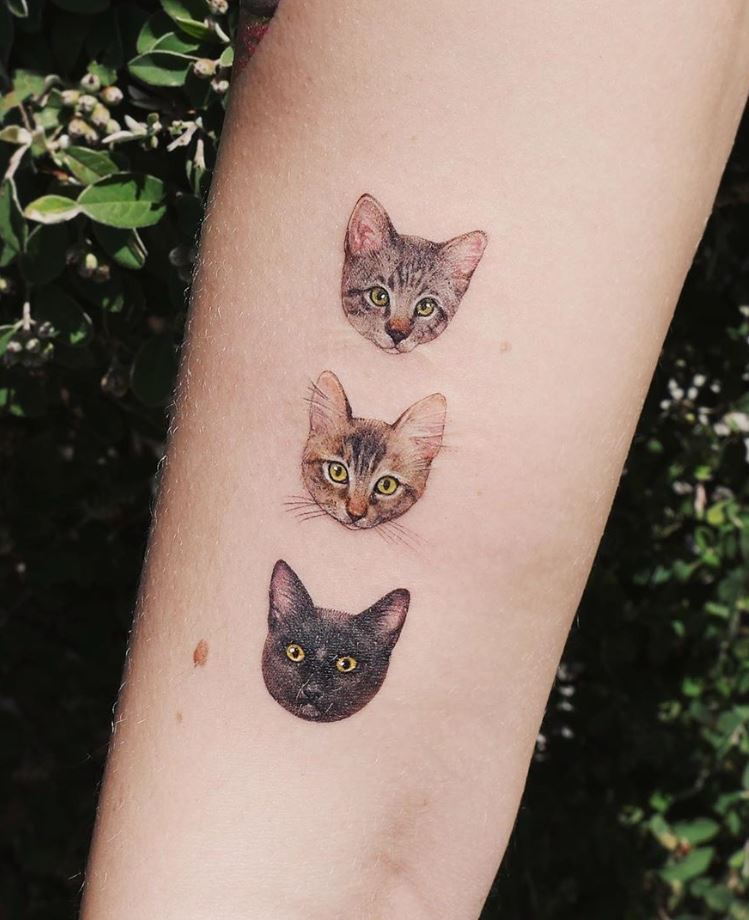 Tiny Cats Tattoo