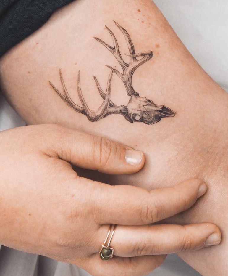 Deer Skull Tattoo - TattooLopediaTattooLopedia