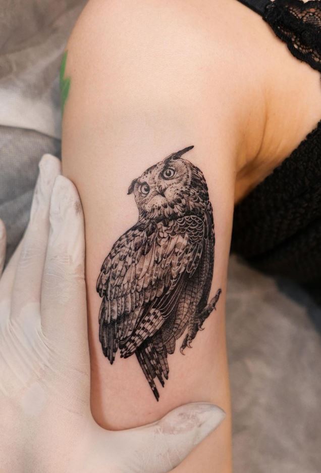 Majestic Owl Tattoo